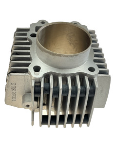Cylinder 66mm pitbike SYS Daytona 87975 Części silnika Daytona - 1