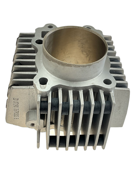 Cylinder 66mm pitbike SYS Daytona 87975 Części silnika Daytona - 1