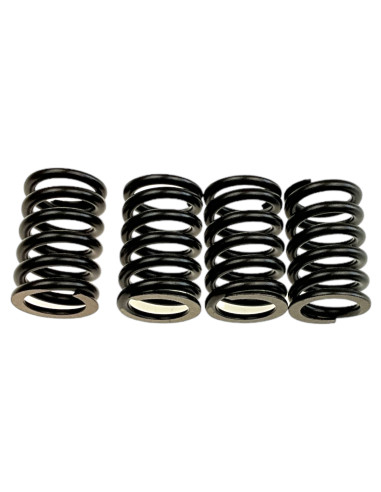 Sprężyny sprzęgła wzmocnione pitbike Daytona 81057 Części silnika Daytona - 2