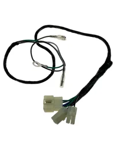 Wiązka przewodów pitbike FDX Daytona 86917 Części silnika Daytona - 1