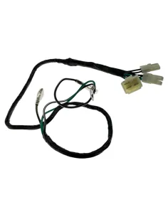 Wiązka przewodów pitbike FDX Daytona 86917 Części silnika Daytona - 1 2