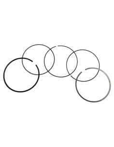 Pierścienie tłokowe pitbike 190 SYS Daytona 87977 Części silnika Daytona - 1 2