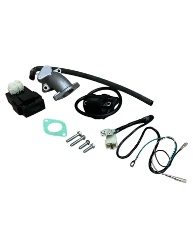 Silnik 190ccm SYS Anima pitbike Daytona 80733 Silnik MRF - 4