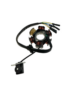 Stator pitbike 140 z rozrusznikiem MRF MRF140R-07-6 Statory i magneta - 1