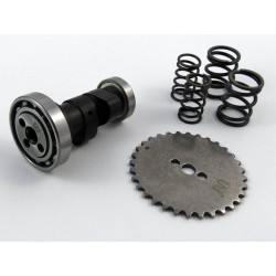 Tuningowy wałek rozrządu Z40 +2KM pitbike MRF MRF140-00-009 Części silnika MRF 140 - 1 2