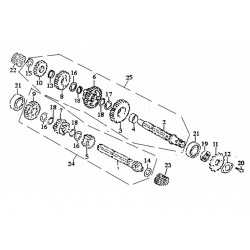 Uszczelniacz wałka zdawczego pitbike 120 MRF MRF120-11-19 Części silnika MRF 120 - 1 2