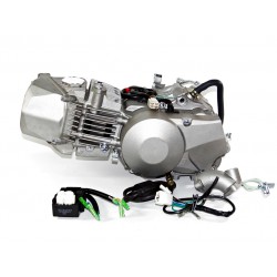 Silnik 190 cm3 4v 4-biegi FSM pitbike Anima Daytona Anima190fdx Części silnikowe - 1