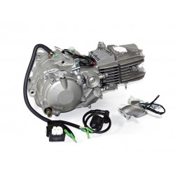 Silnik 190 cm3 4v 4-biegi FSM pitbike Anima Daytona Anima190fdx Części silnikowe - 1 2