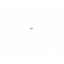 Śruba wysprzęglika pitbike 120 MRF MRF120-06-16 Części silnika MRF 120 - 1