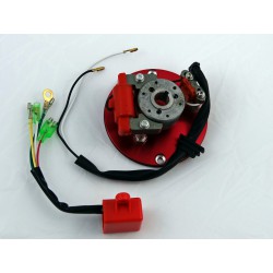 Inner rotor kit pitbike MRF MRF35-81-013 Statory i magneta - 1