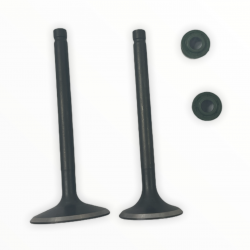 Zawory MRF170 (komplet) MRF170-03-14/15 Części silnika MRF 170 - 1 2