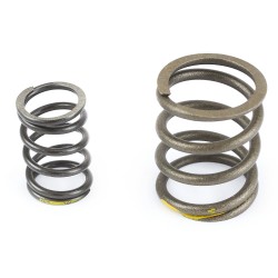 Sprężyny zaworowe pitbike Z155 MRF Z150-02-8 Części silnika Z150 - 1