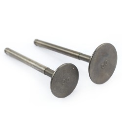 Zawory komplet pitbike Z155 MRF Z150-02-10/11 Części silnika Z150 - 1 2