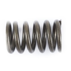 Sprężyna sprzęgła pitbike Z155 MRF Z150-04-9 Części silnika Z150 - 3 2