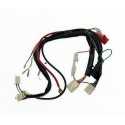 Wiązka przewodów 120/140 z rozrusznikiem pitbike MRF MRF35-84-007roz Wiązki i moduły - 1