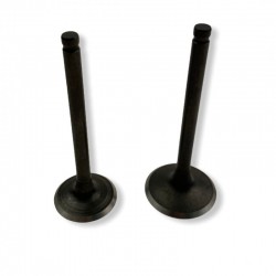 Zawory komplet (2 szt) pitbike 120 MRF MRF120-03-6/7 Części silnika MRF 120 - 2