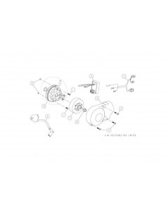 Nakrętka mocująca magneto pitbike Daytona 86452 Części silnika Daytona - 1 2