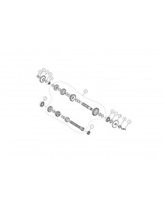 Śruba zębatki zdawczej pitbike Daytona 86464 Części silnika Daytona - 1 2