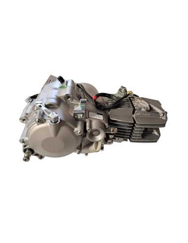 Silnik 160 FSM pitbike Anima Daytona 88025 Części silnikowe - 2