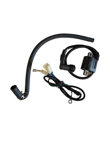 Silnik 160 FSM pitbike Anima Daytona 88025 Części silnikowe - 5