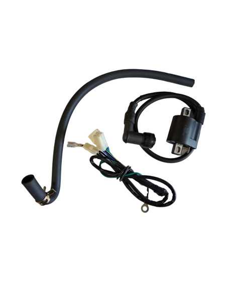 Silnik 160 FSM pitbike Anima Daytona 88025 Części silnikowe - 5