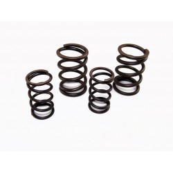 Sprężyny zaworowe MRF170 ( komplet) MRF170-03-11/12 Części silnika MRF 170 - 1