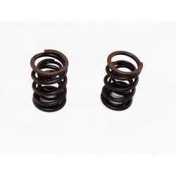 Sprężyny zaworowe MRF170 ( komplet) MRF170-03-11/12 Części silnika MRF 170 - 1 2