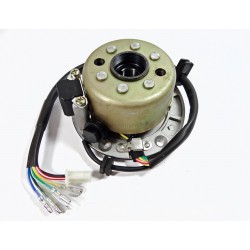 Stator i magneto pitbike 170 MRF MRF35-81-006 Statory i magneta - 2 2